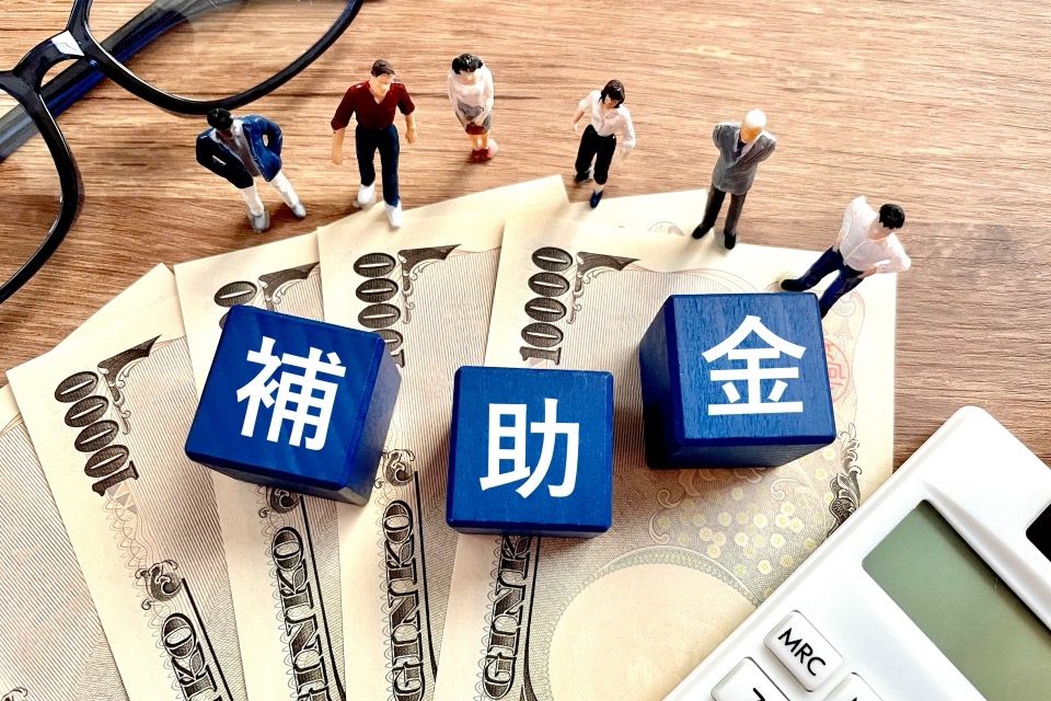 主要な補助金制度の概要